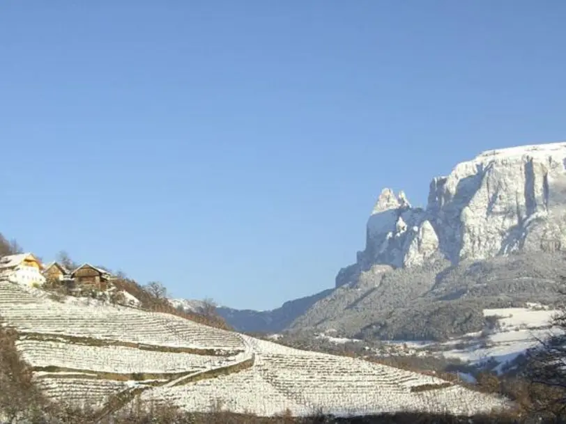 Rielingerhof in Ritten/Siffian