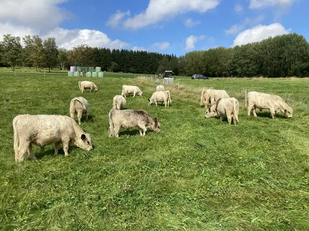 Hof am Breidebach