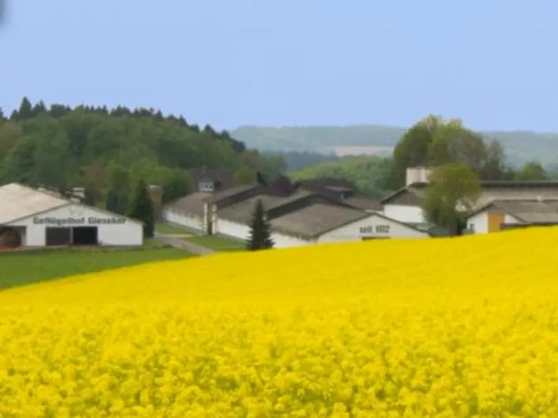 Geflügelhof Gieseker in Halver