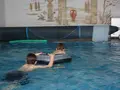 Ferienhof Feinen in Fleringen Ferienhof Feinen in Fleringen