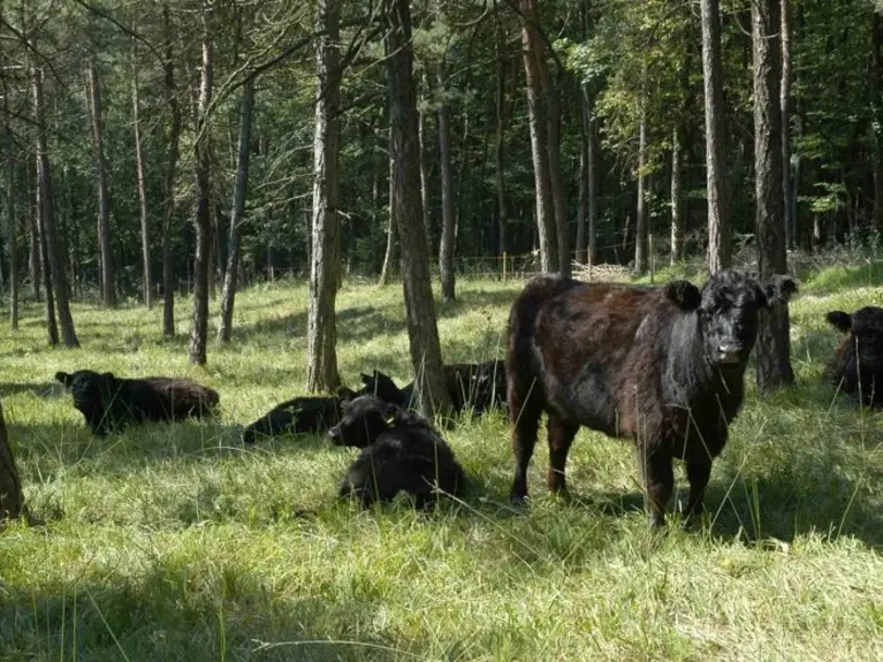 Sonja Moor Landbau in Werneuchen-Hirschfelde