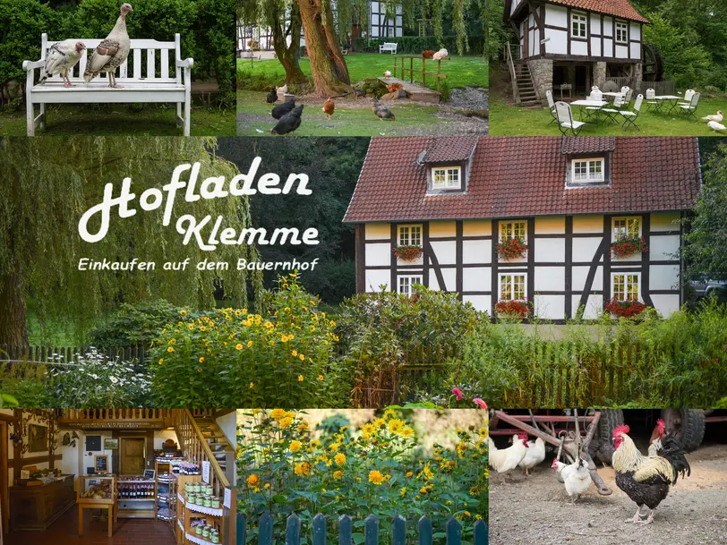 Bauernhof / Hofladen Klemme in Kalletal - Hohenhausen