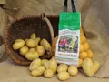 Königshofener Kartoffelmarkt in Heideland/Königshofen Königshofener Kartoffelmarkt in Heideland/Königshofen