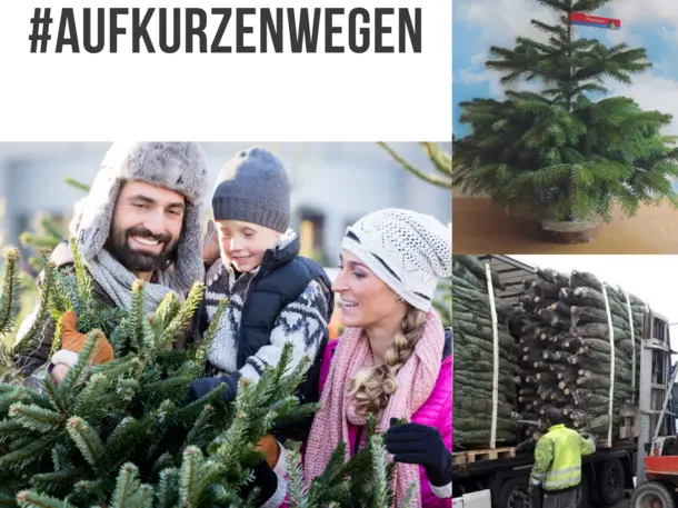 Weihnachtsbaum Zentrale