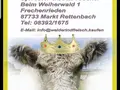 Sylvester Klucker in Markt Rettenbach Sylvester Klucker in Markt Rettenbach