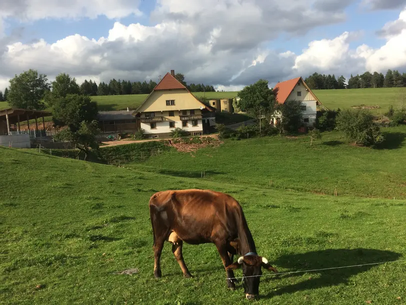 Gründlehof in Hornberg