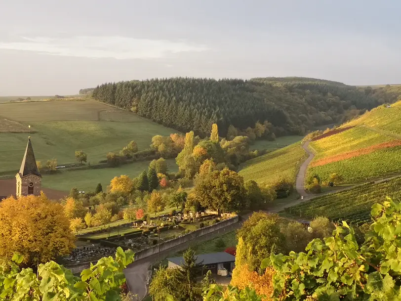 Weingut Theis in Kirschroth