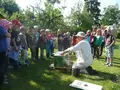 Imkerei Feuerstein in Elchingen