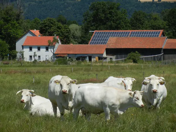 Biohof Lochmüller