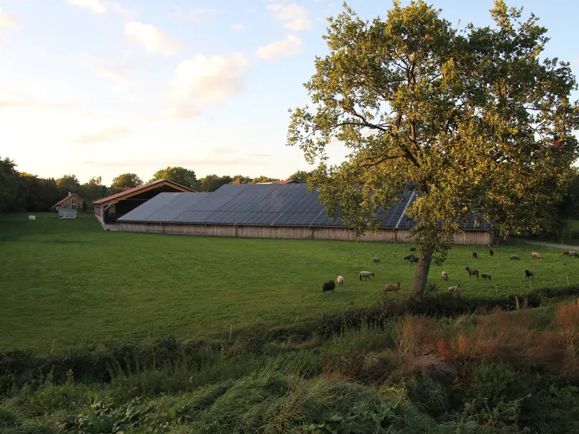 Johannshof in Großefehn - Fiebing