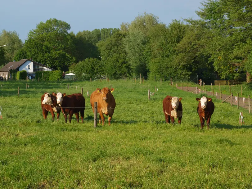 farmers best meat in Nettetal