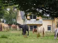 Ferienhof Feinen in Fleringen Ferienhof Feinen in Fleringen