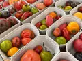 Mikrofarm Gräfelfing - Gemüse Abo in München Mikrofarm Gräfelfing - Gemüse Abo in München