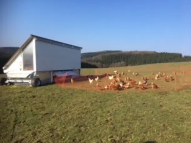 Huxhardter Milchhäusel am Stöcken