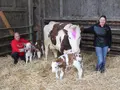 Bauernhof Wunderle in Bad Säckingen