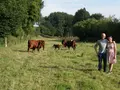 Elshof Melle in Melle Elshof Melle in Melle
