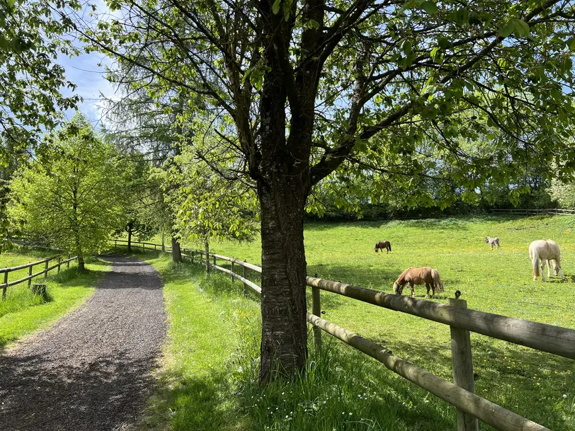 Landgut Pfauenhof in Utzerath