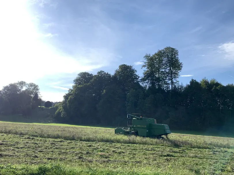 Biohof Trausmühle in Vöcklamarkt