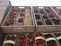 Dettelbach Obst Liggeringen in Radolfzell- Liggeringen Dettelbach Obst Liggeringen in Radolfzell- Liggeringen