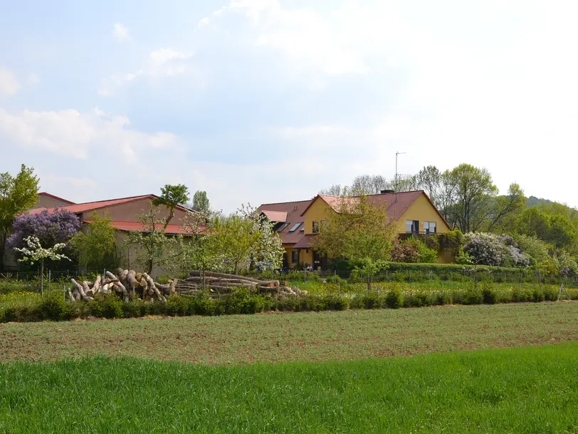 Bienenhof Keil in Willanzheim