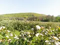 Achtsamkeitshof Rhön in Sondernau Achtsamkeitshof Rhön in Sondernau