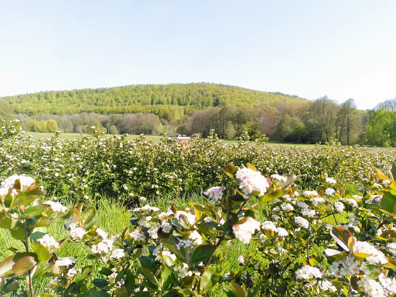 Achtsamkeitshof Rhön in Sondernau