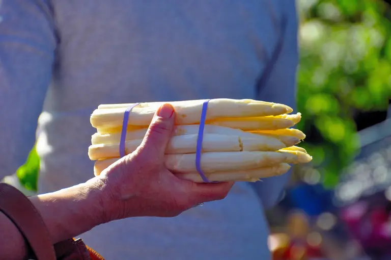 Leckerer frischer vom Feld geernteter Spargel. Regional vom Hofladen oder dem Markt um die Ecke.