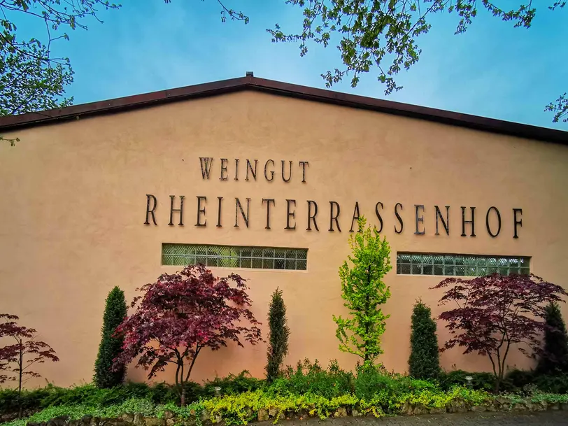 Weingut Rheinterrassenhof in Guntersblum