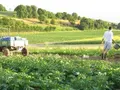 ei-o-mat Heidelsheim in Bruchsal ei-o-mat Heidelsheim in Bruchsal