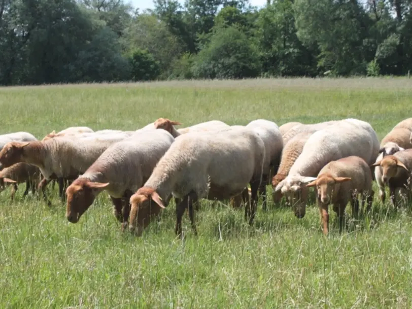 Biohof Kahr  in Mühlhausen