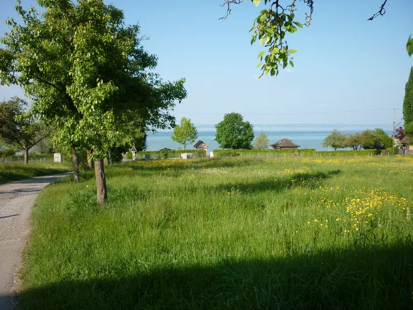 Strohhotel Bodensee I Mostgalerie in Frasnacht