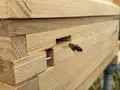 Honigmanufaktur Bienenliebe in Tuchenbach