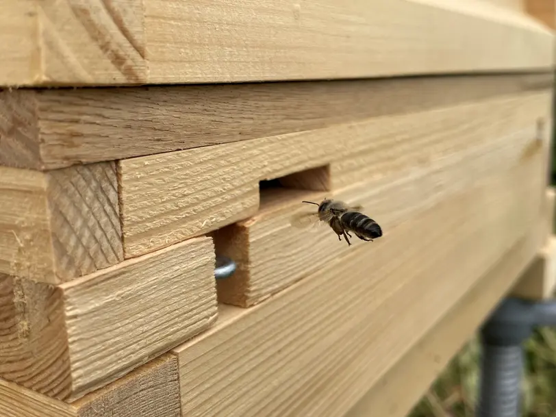 Honigmanufaktur Bienenliebe in Tuchenbach