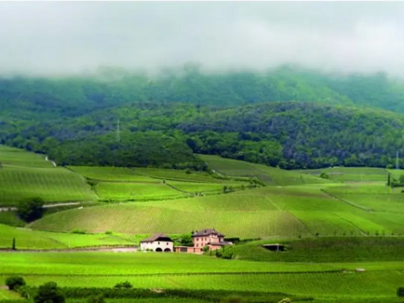 Weingut Manincor in Kaltern