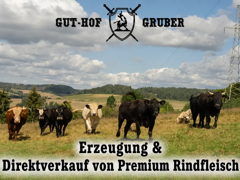 Gut-Hof-Gruber in Schalkau