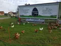 Bammersdorfer Weide Ei in Merkendorf
