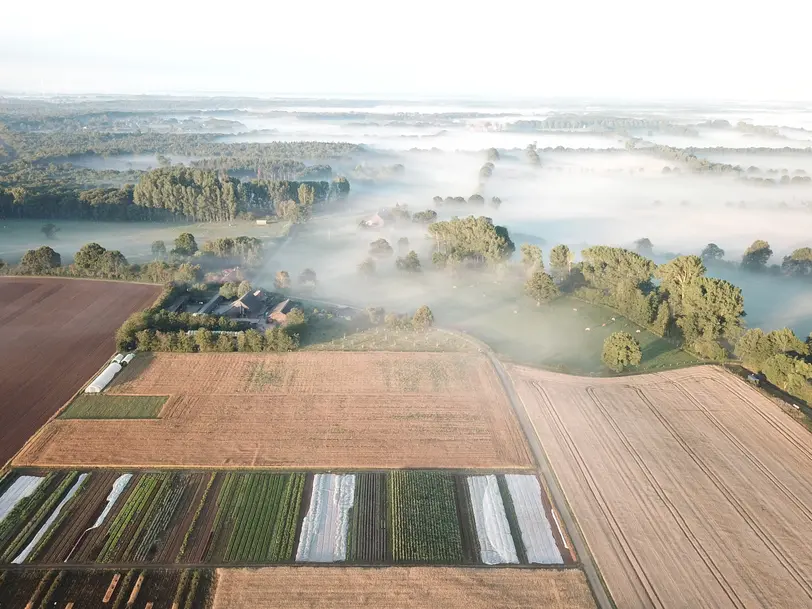 Büsch Naturkost in Weeze