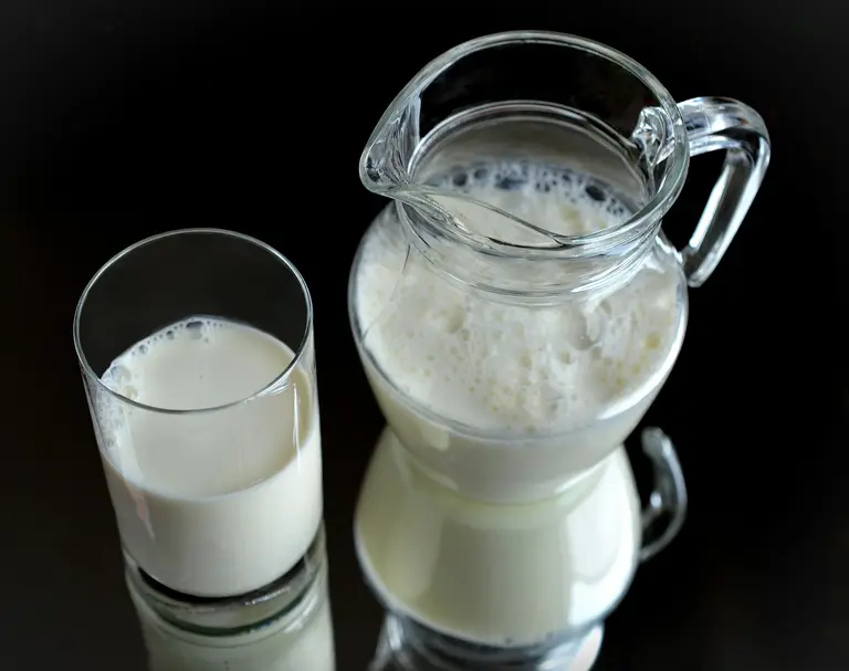 Frische Landmilch auch in Bioqualität vom Landwirt. Regional vom Bauernhof, der Milchtankstelle oder vom Markt um die Ecke.