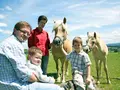 Stutenmilchhof Gallistl in St. Leonhard am Forst Stutenmilchhof Gallistl in St. Leonhard am Forst