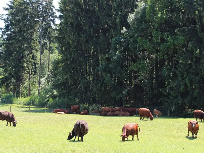 Biohof Wimmer in Pfarrkirchen