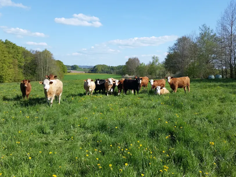 WernerGut in Mittelkalbach