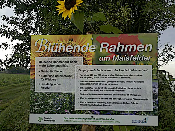 Bauernhof Frank