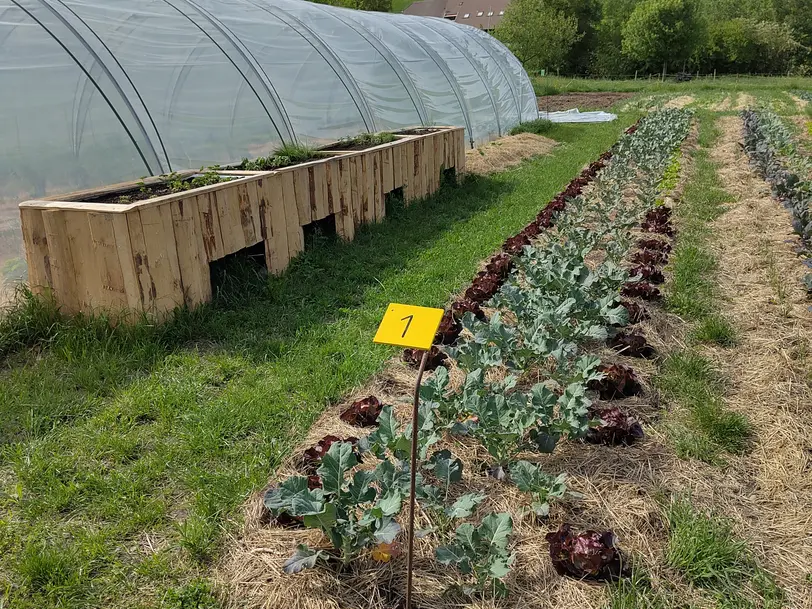 Bruggheim Selbsterntegarten Lekkerland in Gettnau