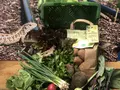 ReLa Isetal in Gifhorn Kästorf ReLa Isetal in Gifhorn Kästorf