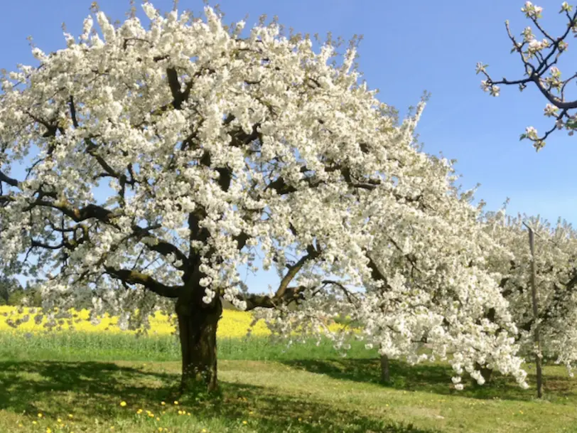 Hofladen Möhrenhof in Urdorf