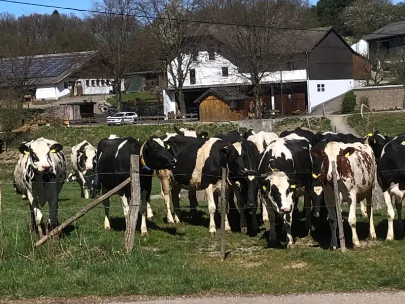 Milchhäuschen Ülfetal in Radevormwald