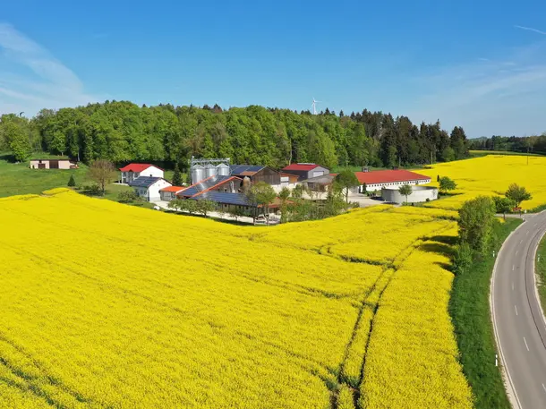 Ölmühle 