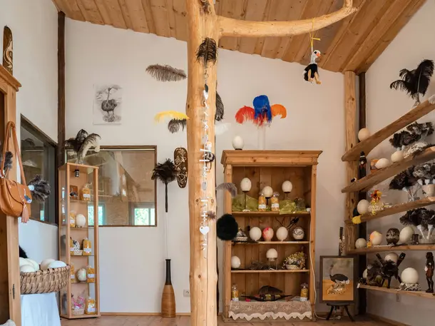 straussen-shop.com