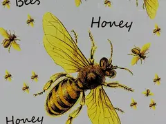 Ilona‘s Beehive
