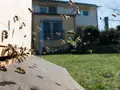 Imkerei am Saupurzel in Karlstadt